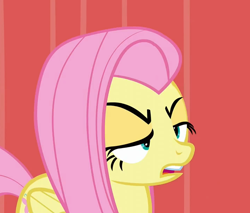 Size: 714x607 | Tagged: safe, fluttershy, pegasus, pony, female, fluttershy is not amused, mare, solo, unamused