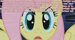 Size: 500x269 | Tagged: safe, fluttershy, alicorn drama, alicorn drama drama, metadrama, mouthpiece, text, the stare, wall of text