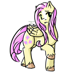 Size: 1600x1600 | Tagged: safe, artist:mountainstrike, fluttershy, pegasus, pony, female, mare, pink mane, unshorn fetlocks, yellow coat