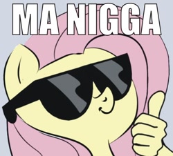 Size: 600x542 | Tagged: safe, fluttershy, pegasus, pony, hand, image macro, my nigga, nigga, sistashy, sunglasses, thumbs up, vulgar