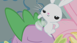 Size: 1280x720 | Tagged: safe, screencap, angel bunny, fluttershy, spike, dragon, pegasus, pony, dragonshy, angel is a bunny bastard, spikeabuse