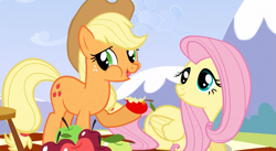 Size: 851x465 | Tagged: safe, screencap, applejack, fluttershy, earth pony, pegasus, pony, wonderbolts academy, apple