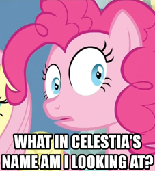 Size: 454x500 | Tagged: safe, fluttershy, pinkie pie, earth pony, pegasus, pony, female, image macro, mare, pink coat, pink mane, reaction image