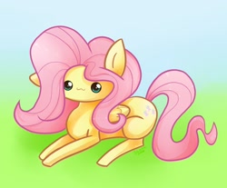 Size: 1552x1285 | Tagged: safe, artist:blacky-moon, fluttershy, pegasus, pony, chibi, female, mare, solo