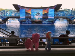 Size: 1962x1465 | Tagged: safe, artist:scrwloose, derpibooru import, pinkie pie, rainbow dash, behind, irl, photo, ponies in real life, sea world, seaworld, toy