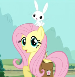 Size: 581x595 | Tagged: safe, screencap, angel bunny, fluttershy, pegasus, pony, just for sidekicks, saddle bag, surprised