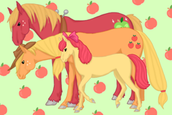 Size: 900x600 | Tagged: safe, artist:zchilu, apple bloom, applejack, big macintosh, earth pony, pony, hat, male, realistic, ribbon, stallion
