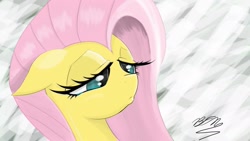 Size: 1920x1080 | Tagged: safe, artist:falco9998, fluttershy, pegasus, pony, female, mare, pink mane, yellow coat