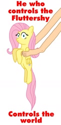 Size: 848x1733 | Tagged: safe, artist:vincentthecrow, fluttershy, pegasus, pony, dune, female, image macro, mare