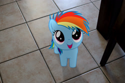 Size: 3000x2000 | Tagged: safe, artist:stormxf3, derpibooru import, rainbow dash, fanfic:my little dashie, female, filly, filly rainbow dash, irl, photo, ponies in real life, solo, younger