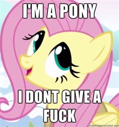 Size: 339x360 | Tagged: safe, fluttershy, pegasus, pony, female, image macro, mare, no fucks, vulgar