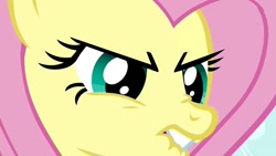 Size: 1136x640 | Tagged: safe, fluttershy, pegasus, pony, angry, close-up, female, lip bite, mare