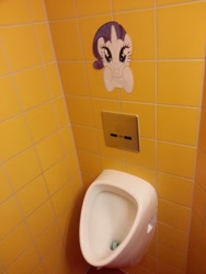 Size: 960x1280 | Tagged: safe, rarity, irl, photo, pissoir, urinal, wat