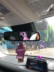 Size: 1536x2048 | Tagged: safe, artist:nekokevin, starlight glimmer, human, pony, unicorn, series:nekokevin's glimmy, car, car seat, clothes, female, irl, irl human, mare, offscreen character, photo, plushie, rear view mirror, sitting, smiling, socks, striped socks