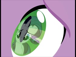 Size: 1440x1080 | Tagged: safe, artist:luckymerc, rarity, spike, dragon, pony, unicorn, eye, eye reflection, female, male, reflection, shipping, sparity, straight