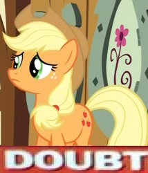 Size: 454x530 | Tagged: safe, applejack, earth pony, pony, doubt, image macro, meme, solo, why.jpg