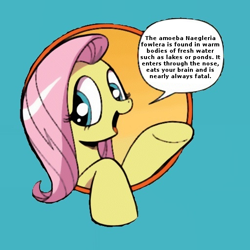 Size: 512x512 | Tagged: safe, idw, fluttershy, pegasus, pony, bad advice fluttershy, blue eyes, dialogue, exploitable meme, female, fluttersquick, mare, meme, open mouth, pink mane, raised hoof, raised leg, simple background, smiling, solo, speech bubble, talking to viewer, underhoof, yellow coat