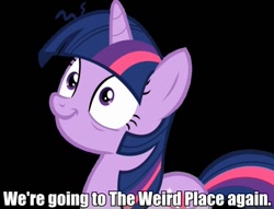 Size: 799x612 | Tagged: safe, derpibooru import, twilight sparkle, derp, image macro, insanity, twilight snapple