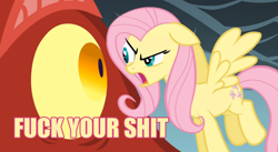 Size: 848x465 | Tagged: safe, edit, edited screencap, screencap, basil, fluttershy, dragon, pegasus, pony, dragonshy, duo, eyes, fuck your shit, image macro, stare, vulgar