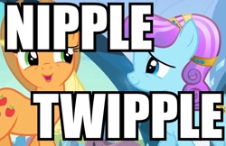 Size: 890x578 | Tagged: safe, applejack, crystal pony, earth pony, pony, caption, image macro, wat