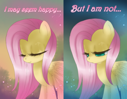 Size: 1000x776 | Tagged: dead source, safe, artist:loyaldis, fluttershy, pegasus, pony, comic, female, sad, solo