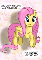 Size: 624x876 | Tagged: safe, artist:teebreakers, fluttershy, pegasus, pony, confused, dialogue, looking at you, love and tolerate, solo