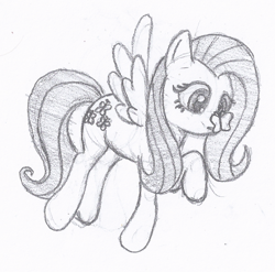 Size: 740x731 | Tagged: safe, fluttershy, pegasus, pony, grayscale, monochrome, simple background, traditional art, white background