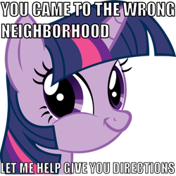 Size: 600x600 | Tagged: safe, derpibooru import, twilight sparkle, faic, image macro, simple background, transparent background, twiface, vector, wrong neighborhood