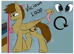 Size: 2209x1621 | Tagged: safe, artist:beardie, derpibooru import, oc, oc only, oc:vicious loop, pegasus, cutie mark, long tongue, male, reference sheet, stallion, tongue out