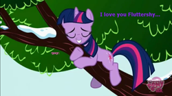 Size: 1026x575 | Tagged: safe, derpibooru import, fluttershy, twilight sparkle, pegasus, pony, female, fluttertree, lesbian, shipping, tree, twishy