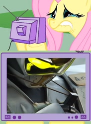 Size: 960x1314 | Tagged: safe, fluttershy, pegasus, pony, beet j. stag, exploitable meme, fluttercry, go-busters, super sentai, tv meme