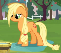 Size: 1029x889 | Tagged: safe, screencap, applejack, earth pony, pony, apple family reunion, female, mare, wet mane