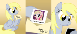 Size: 1795x797 | Tagged: safe, derpy hooves, pegasus, pony, /mlp/, 4chan, don't believe her lies, exploitable meme, female, mare, meghan mccarthy, memento, telling lies, underp