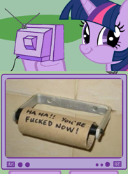 Size: 563x771 | Tagged: safe, derpibooru import, twilight sparkle, exploitable meme, toilet paper, tv meme, twiface, vulgar