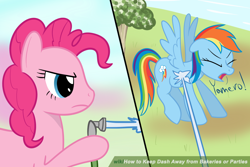 Size: 1200x800 | Tagged: safe, artist:mightyshockwave, derpibooru import, pinkie pie, rainbow dash, earth pony, pegasus, pony, secrets and pies, hose, meme, spray, wikihow, yamero