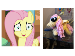 Size: 800x600 | Tagged: artist needed, safe, fluttershy, irl, photo, plushie, reaction image, wat