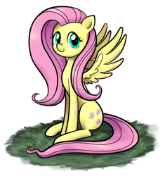 Size: 446x475 | Tagged: safe, artist:koinu-yukina, artist:sleepykoinu, fluttershy, pegasus, pony, cute, female, looking at you, mare, shyabetes, sitting, solo, spread wings, wings