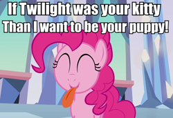 Size: 946x648 | Tagged: safe, pinkie pie, earth pony, pony, behaving like a dog, grammar error, image macro, puppy, puppy pie, tongue out, twilight cat