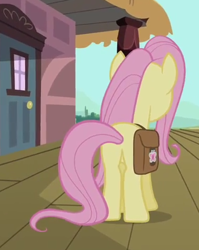 Size: 377x473 | Tagged: safe, screencap, fluttershy, pegasus, pony, games ponies play, female, mare, plot