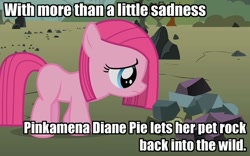 Size: 694x432 | Tagged: safe, edit, edited screencap, screencap, pinkie pie, earth pony, pony, the cutie mark chronicles, blank flank, female, filly, filly pinkie pie, image macro, pet rock, pinkamena diane pie, rock farm, sad, solo, younger