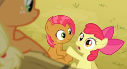 Size: 604x328 | Tagged: safe, screencap, apple bloom, applejack, babs seed, earth pony, pony, apple family reunion