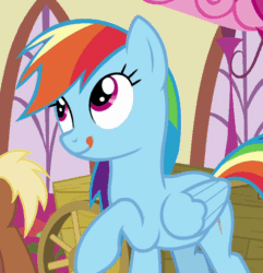 Size: 790x820 | Tagged: safe, derpibooru import, screencap, rainbow dash, pegasus, pony, secrets and pies, animated, cropped, cute, dashabetes, gif, licking, solo, tongue out