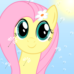 Size: 800x800 | Tagged: safe, artist:bajanic, fluttershy, pegasus, pony, female, mare, pink mane, yellow coat