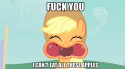 Size: 851x472 | Tagged: safe, screencap, applejack, earth pony, pony, apple family reunion, apple, image macro, text