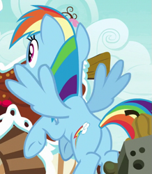 Size: 517x593 | Tagged: safe, derpibooru import, screencap, rainbow dash, pegasus, pony, secrets and pies, cropped, female, mare, plot, solo, spread wings, wings