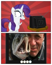 Size: 680x841 | Tagged: safe, rarity, fish, pony, unicorn, exploitable meme, jeremy wade, meme, obligatory pony, piraiba, river monsters, tv meme