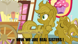 Size: 1267x717 | Tagged: safe, applejack, sweetie belle, earth pony, pony, apple family reunion, luster dust, sweetie gold