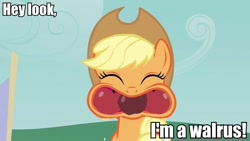 Size: 960x540 | Tagged: safe, applejack, earth pony, pony, walrus, apple family reunion, apple, apple.mov, hotdiggedydemon, image macro