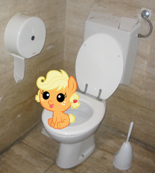 Size: 1338x1491 | Tagged: safe, applejack, apple family reunion, baby, babyjack, but why, cute, irl, photo, ponies in real life, potty, potty time, toilet, vector
