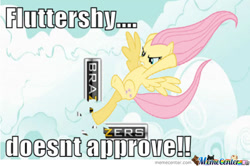 Size: 500x332 | Tagged: safe, fluttershy, pegasus, pony, lesson zero, angry, brazzers, destruction, memecenter